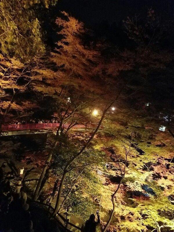 香嵐渓のライトアップ